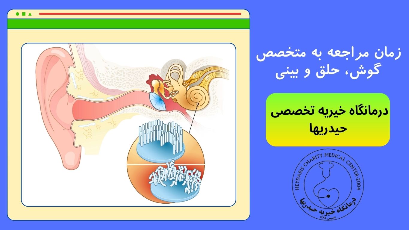متخصص گوش، حلق و بینی