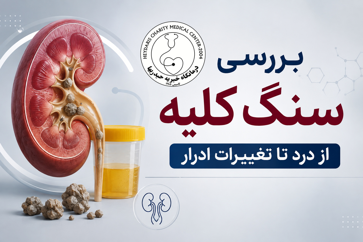 بررسی سنگ کلیه از درد تا تغییرات ادرار